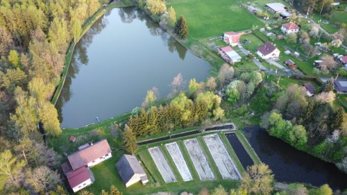 Rybník Divišov